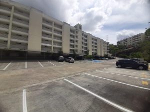APARTAMENTO 112 M2 – PH ALTAMIRA GARDEN – CONDADO DEL REY
